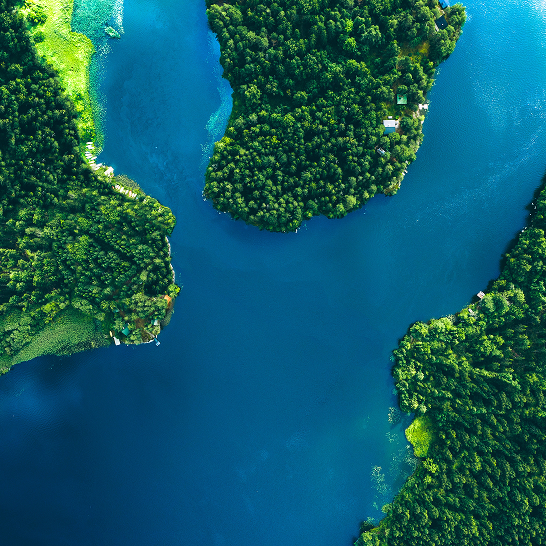 Aerial view of marsh area