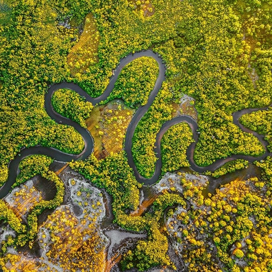Aerial view of winding river